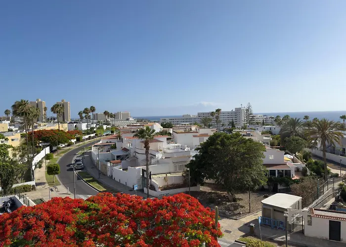 Apartamento Piso Agaves *