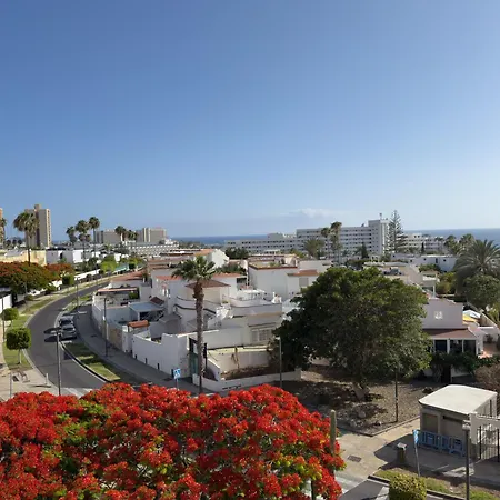 Apartamento Piso Agaves *